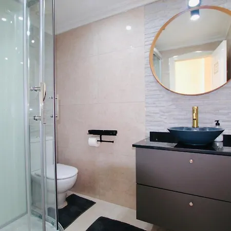 Palmeras Puerto En * Torrevieja