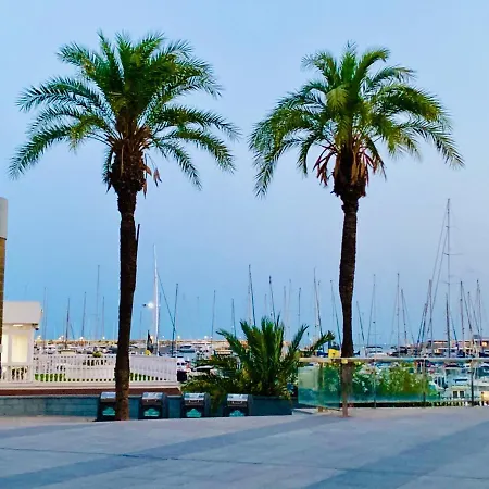 Palmeras Puerto En